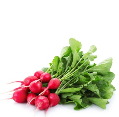 Red Radish