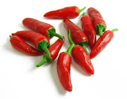 Red Bullet Chilli