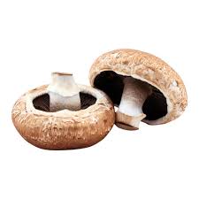 Portobello Mushroom