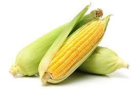 Maize Cob
