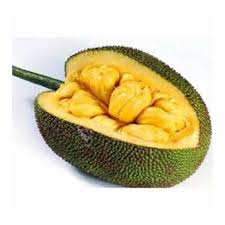 Farm Jackfruit
