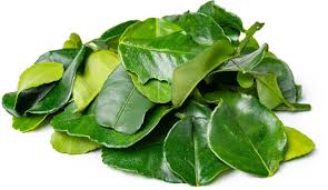 Farm Kaffir Lime Leaves