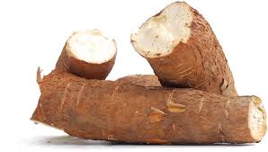 Farm Cassava