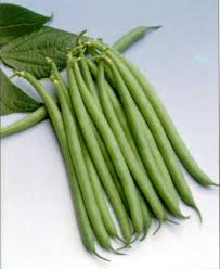 Haricot Verts Beans