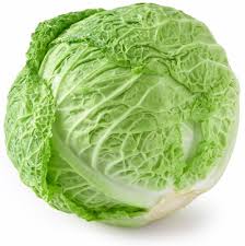 Organic Savoy Cabbage