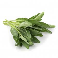 Organic Sage Leaves
