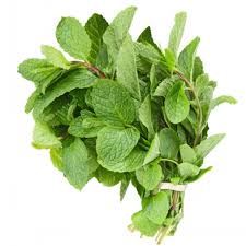 Organic Mint