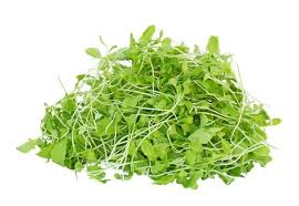 Organic Micro Greens Mustard