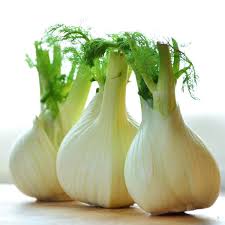Organic Fennel