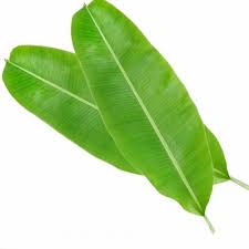 Organic Banana Leaves