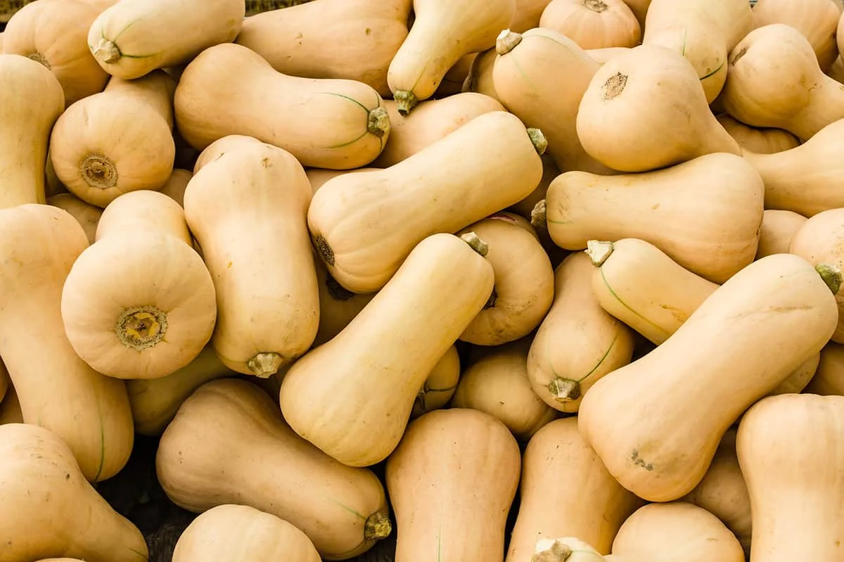 Mixed Sizes Butternut