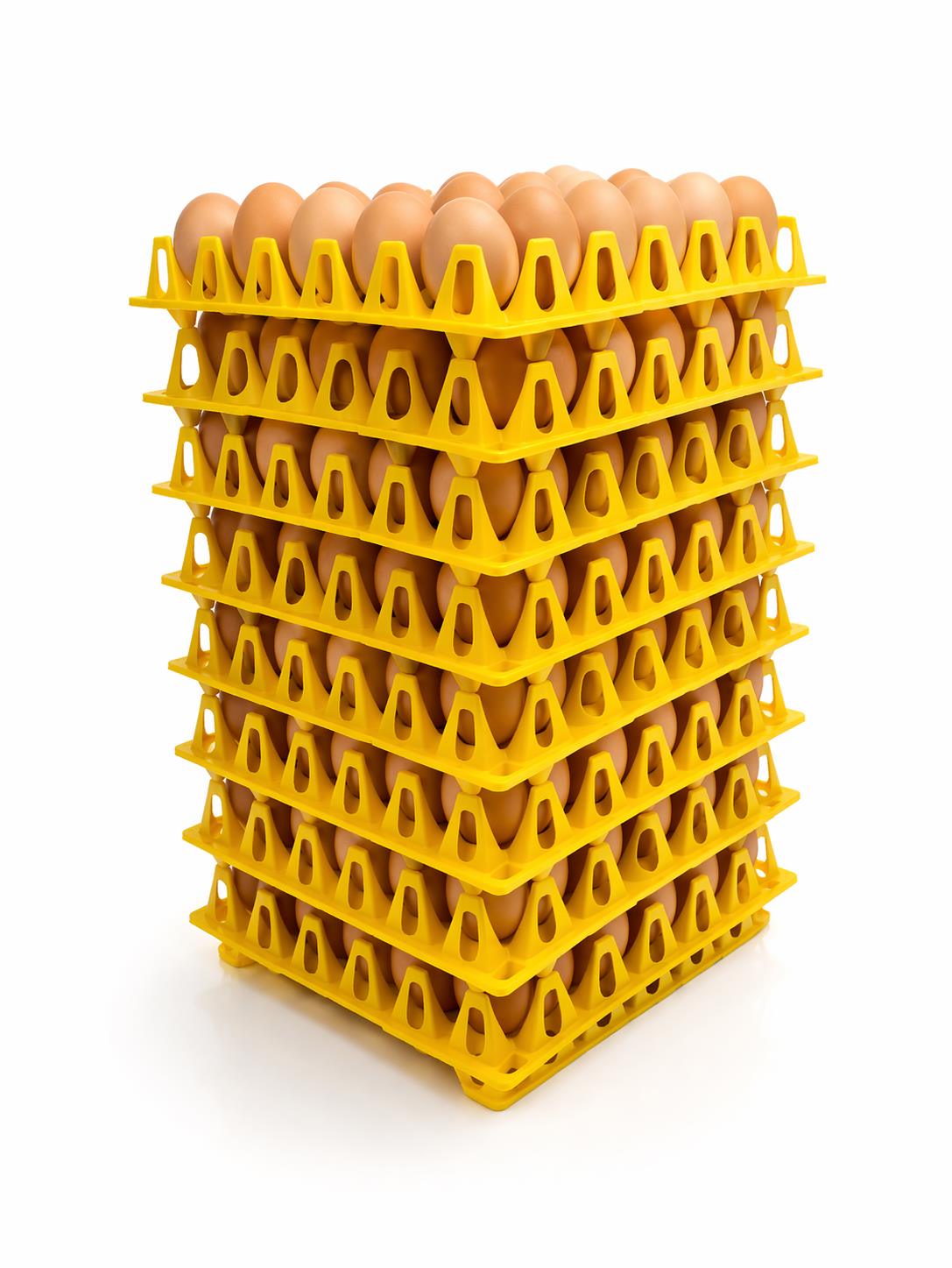 Mixed Sizes Eggs [Bulk Pack]