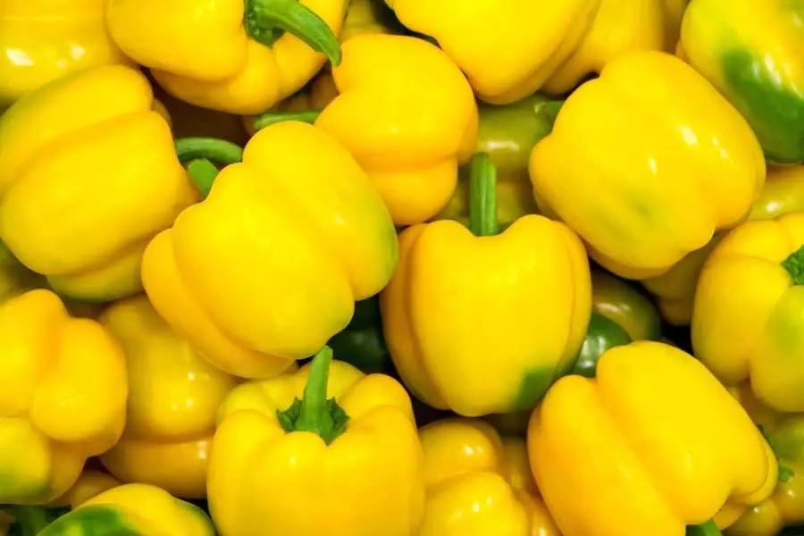 Tushop Fresh Yellow Capsicum - (Hoho)