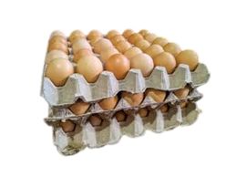 Mixed Sizes Eggs [Family Pack]