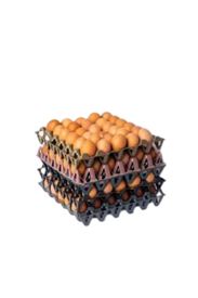 Mixed Sizes Eggs [Value Pack]