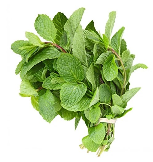 Garden-fresh Mint Leaves