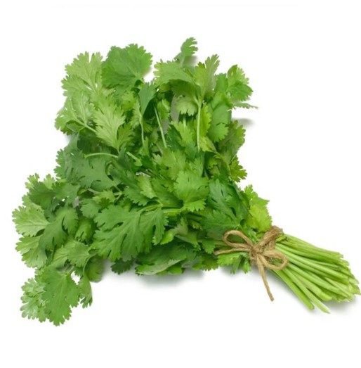 Garden-fresh Dhania (Coriander)