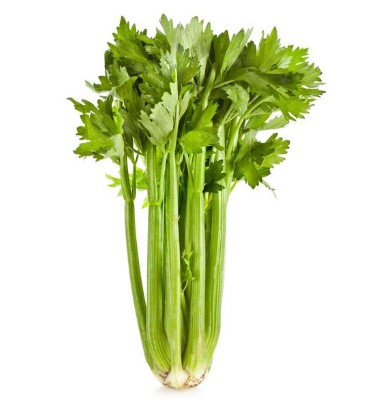 Garden-fresh Celery