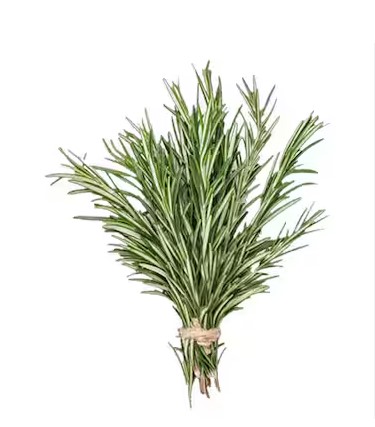 Garden-fresh Rosemary Leaves