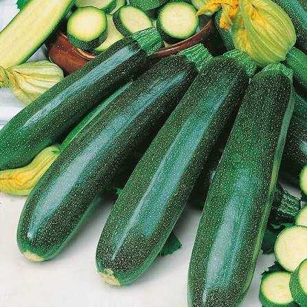 Organic Courgette (Zucchini)