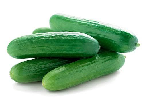 Organic Baby Cucumber
