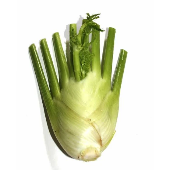 Organic Fennel