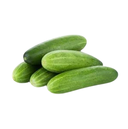 Organic Local Cucumber