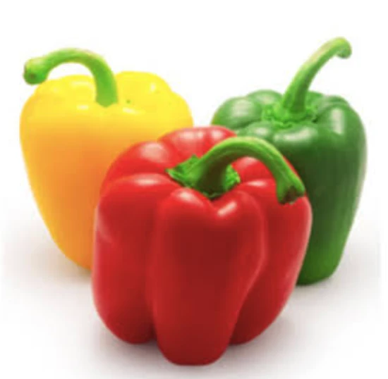 Organic Trio Capsicum