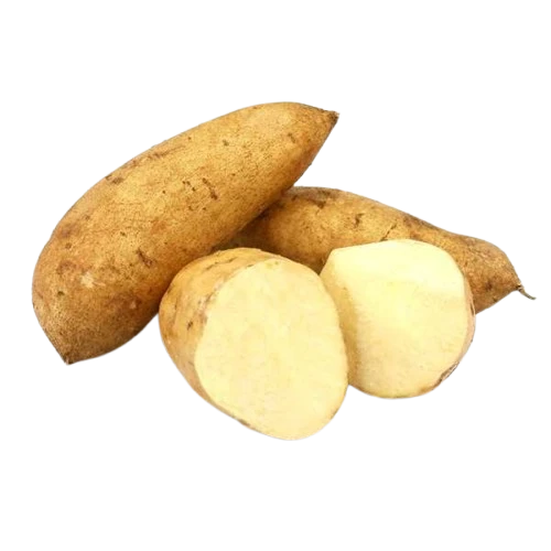 Organic White Sweet Potato
