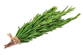 Organic Fresh Rosemary