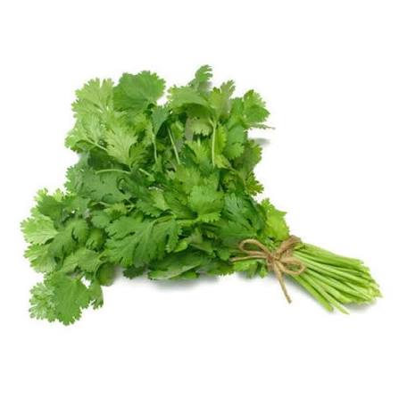 Organic Cilantro (Dhania)