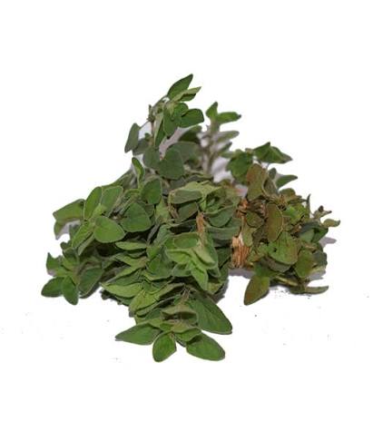 Organic Marjoram