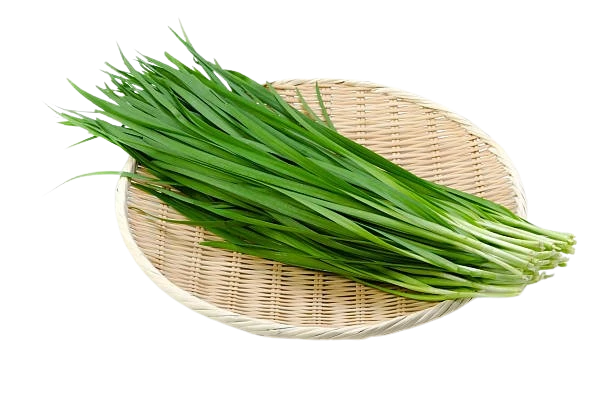 Organic Garlic Chives
