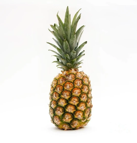 Organic Pineapple