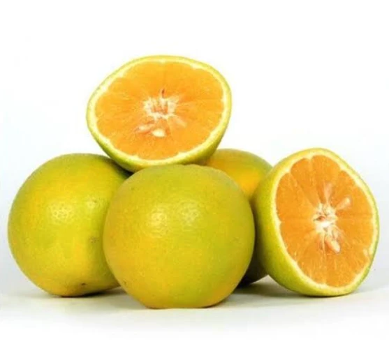Organic Mineola Oranges