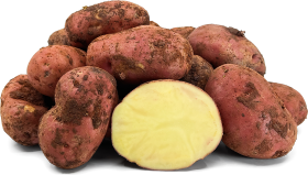 Organic Unica Potatoes
