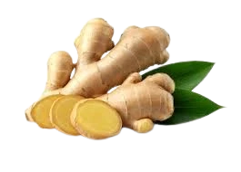 Organic Ginger