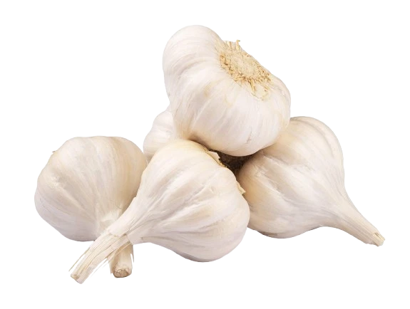 Organic Garlic