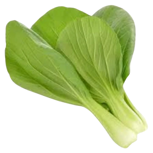 Organic Bok Choy