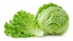 Organic Iceberg Lettuce
