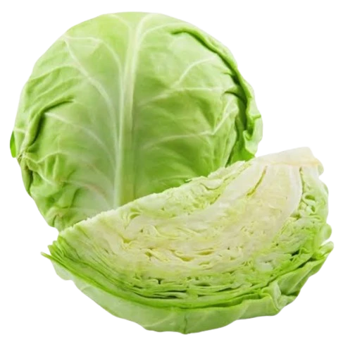 Organic White Cabbage