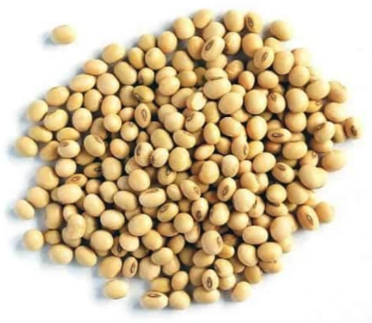 Organic White Cowpeas (Kunde) Beans
