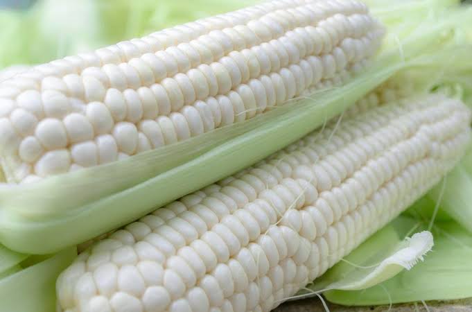 Organic Heirloom White Maize