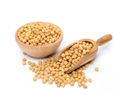 Organic Soya Beans