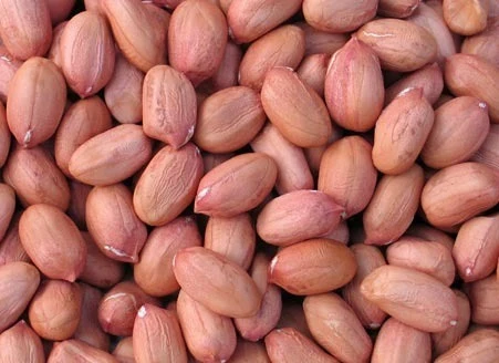 Organic Groundnuts