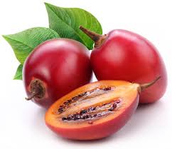Organic Tree Tomatoes