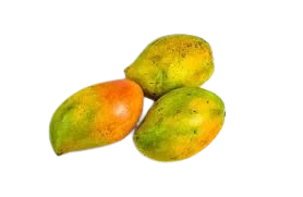 Organic Ngowe mango