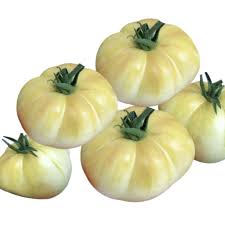 Kirinyaga White tomatoes