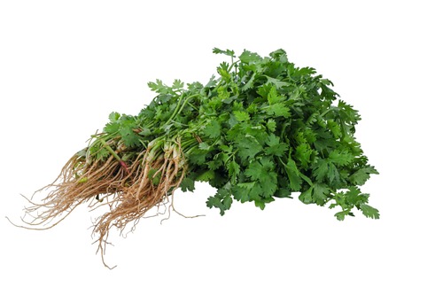 Tushop Fresh Local Coriander (Dhania)