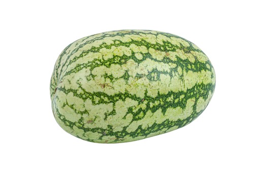 Large Local Watermelon